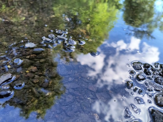 Reflection of the summer sky and trees in shallow water along a river bank.  Rocks on the bottom are a visible.  Some small rocks break the surface.